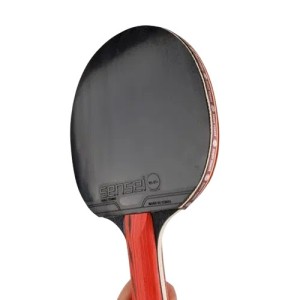 Paleta Ping Pong Sensei 4 Star-30